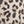 Luxe Leopard Pant